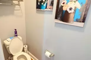 337 Basswood Ct, Conway, SC 29526 - Photo 25