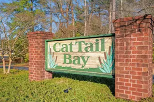 226 Cat Tail Bay Dr, Conway, SC 29527 - Photo 41