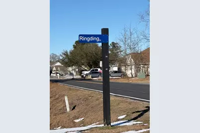 104 Ringding Dr., Conway, SC 29526 - Photo 3