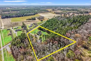 374 Brunson Spring Rd, Galivants Ferry, SC 29544 - Photo 51