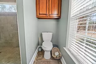 374 Brunson Spring Rd, Galivants Ferry, SC 29544 - Photo 19