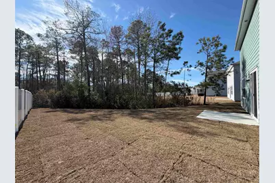 7168 Shooting Star Way, Myrtle Beach, SC 29579 - Photo 5