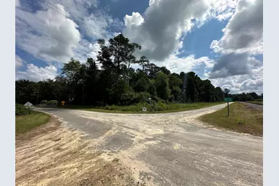 Tbd Millers Rd., Marion, SC 29574 - Photo 7