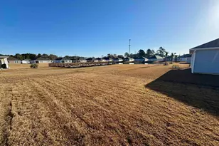 141 Bud Dr, Longs, SC 29568 - Photo 23