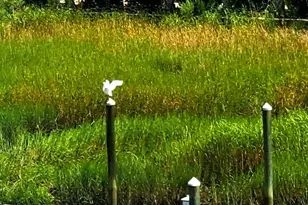 4409 Eastport Blvd, Little River, SC 29566 - Photo 23