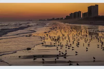 215 3rd Ave. N #Unit 353, North Myrtle Beach, SC 29582 - Photo 37