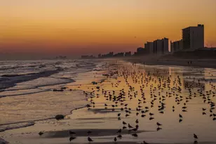 215 3rd Ave N, North Myrtle Beach, SC 29582 - Photo 37