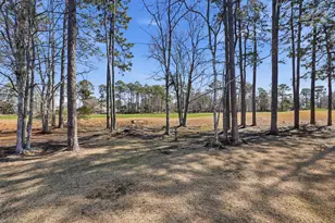 1216 Foxtail Dr, Longs, SC 29568 - Photo 39