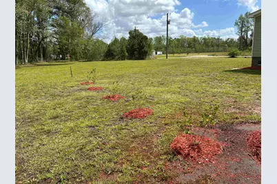 814 S Midway Hwy., Johnsonville, SC 29555 - Photo 31