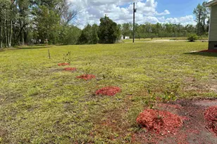 814 S Midway Hwy, Johnsonville, SC 29555 - Photo 31