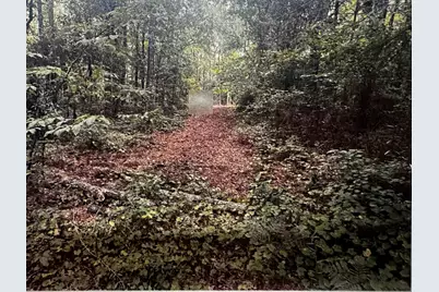 4563 South Island Rd., Georgetown, SC 29440 - Photo 3