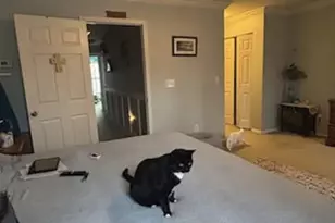 190 Olde Towne Way, Myrtle Beach, SC 29588 - Photo 19