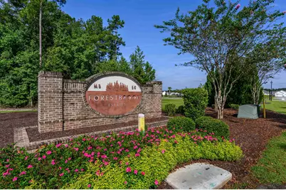 837 Harrison Mill St., Myrtle Beach, SC 29579 - Photo 33