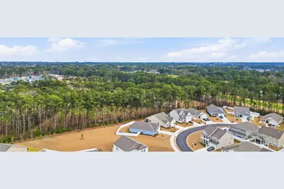 288 Lassoed Circle, Murrells Inlet, SC 29576 - Photo 49