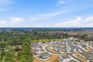 288 Lassoed Cir, Murrells Inlet, SC 29576 - Photo 51