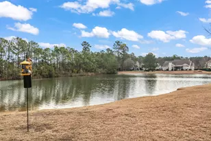 361 Green Creek Bay Cir, Murrells Inlet, SC 29576 - Photo 29