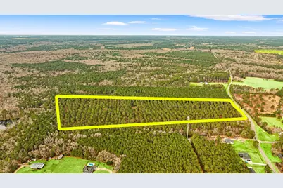 Old Reaves Ferry Rd., Conway, SC 29526 - Photo 7