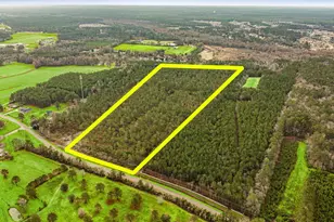 Old Reaves Ferry Rd, Conway, SC 29526 - Photo 1