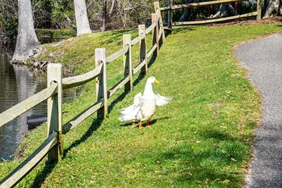 1919 Spring St. #B-21, North Myrtle Beach, SC 29582 - Photo 53
