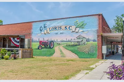 905 Futrell St., Loris, SC 29569 - Photo 41