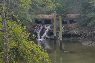 320 Clam Shell Cir, Garden City, SC 29576 - Photo 41