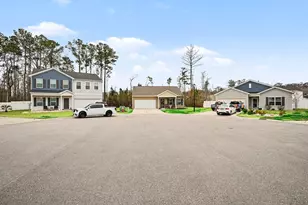 442 Stevia Ct, Conway, SC 29526 - Photo 31