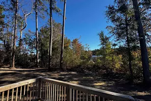 300 Purdue Ct, Galivants Ferry, SC 29544 - Photo 31