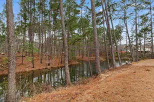 109 Obd Way, Myrtle Beach, SC 29588 - Photo 37