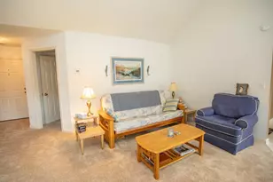 250 Nature Trail, Little River, SC 29566 - Photo 13