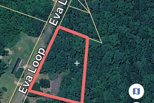 408 Eva Loop, Salters, SC 29590 - Photo 17