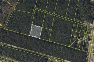 Tbd Lot D Hwy 707, Myrtle Beach, SC 29588 - Photo 1