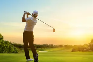 159 Albatross Wy, Myrtle Beach, SC 29579 - Photo 33