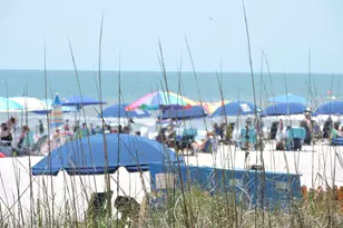 614 3rd Ave S, North Myrtle Beach, SC 29582 - Photo 39