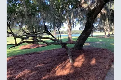 110 Swan Point Trail, Georgetown, SC 29440 - Photo 5