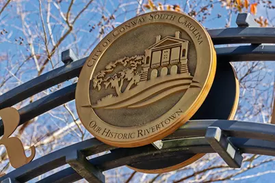 Tbd Lot 2 Old Reaves Ferry Rd., Conway, SC 29526 - Photo 9