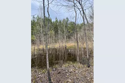 Tbd Rocky Ford Rd., Salters, SC 29590 - Photo 5