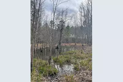 Tbd Rocky Ford Rd., Salters, SC 29590 - Photo 3