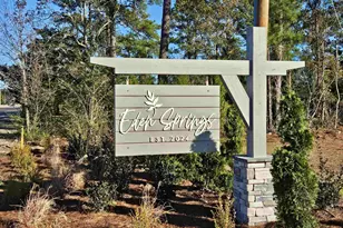 367 Hadley Spgs Ave, Longs, SC 29568 - Photo 15