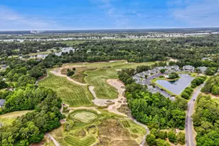 1135 Blue Stem Dr, Pawleys Island, SC 29585 - Photo 51