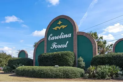 1704 Singing Rose Dr., Myrtle Beach, SC 29579 - Photo 69