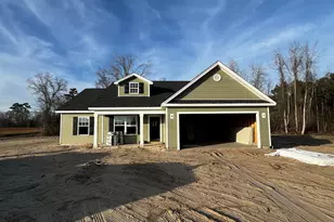 3675 Asbury Rd, Aynor, SC 29511 - Photo 1