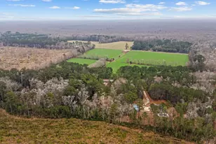 7430 Hwy 701 S, Conway, SC 29527 - Photo 53