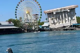 434 Barton Loop, Myrtle Beach, SC 29579 - Photo 47