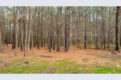 316 Tomahawk St., Hemingway, SC 29554 - Photo 31