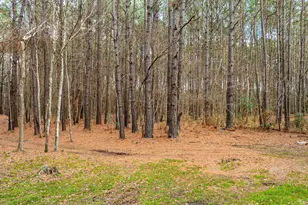 316 Tomahawk St, Hemingway, SC 29554 - Photo 31