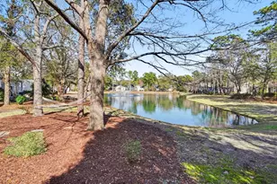 728 Camden Cir, Pawleys Island, SC 29585 - Photo 33