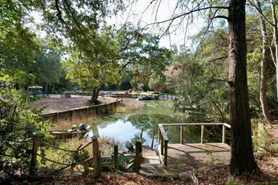 93 Mourning Dove Dr., Pawleys Island, SC 29585 - Photo 7