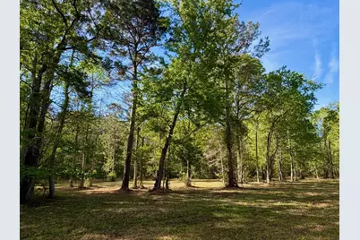 9985 Highway 17 North, McClellanville, SC 29458 - Photo 11