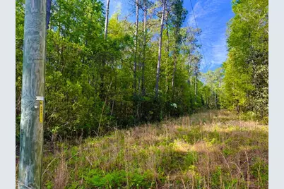 9985 Highway 17 North, McClellanville, SC 29458 - Photo 15