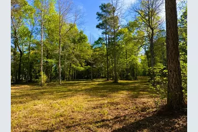 9985 Highway 17 North, McClellanville, SC 29458 - Photo 17